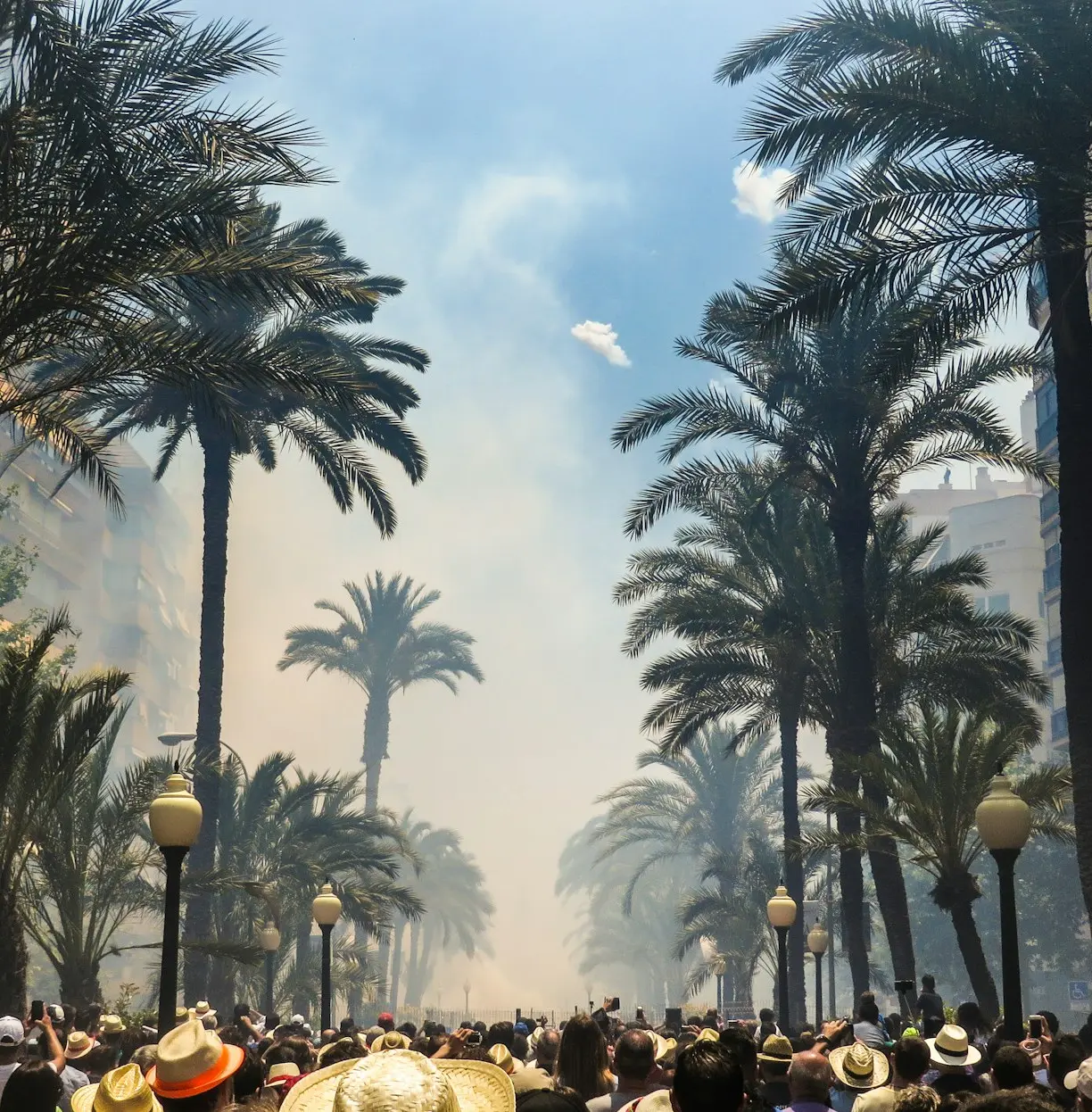 people standing on road between coconut palms surrounded by smoke